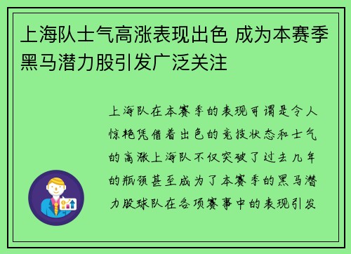 上海队士气高涨表现出色 成为本赛季黑马潜力股引发广泛关注