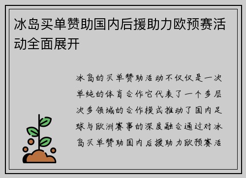 冰岛买单赞助国内后援助力欧预赛活动全面展开