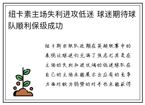 纽卡素主场失利进攻低迷 球迷期待球队顺利保级成功