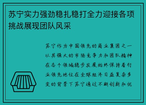 苏宁实力强劲稳扎稳打全力迎接各项挑战展现团队风采