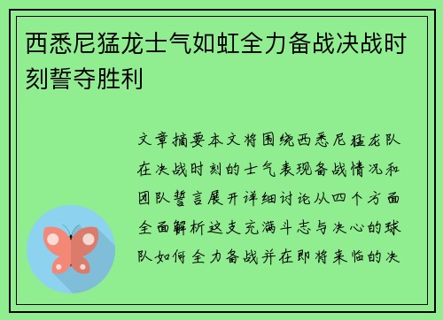 西悉尼猛龙士气如虹全力备战决战时刻誓夺胜利